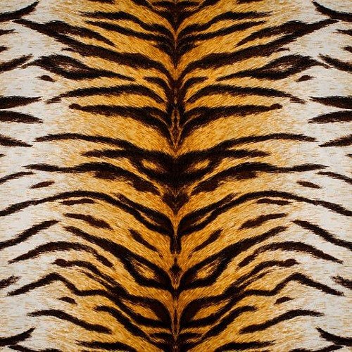 Тигр шкура