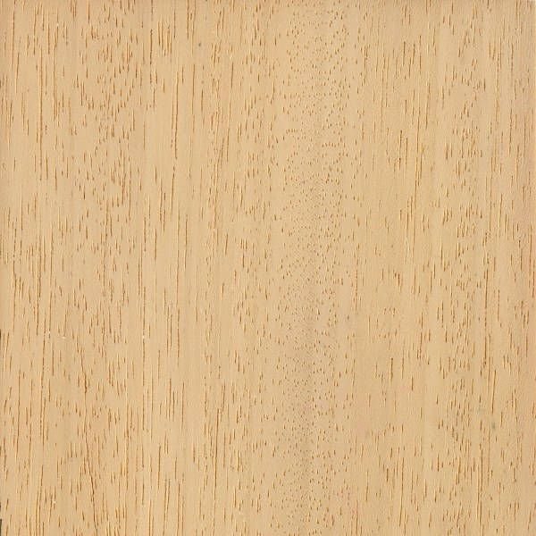 Абаш дерево