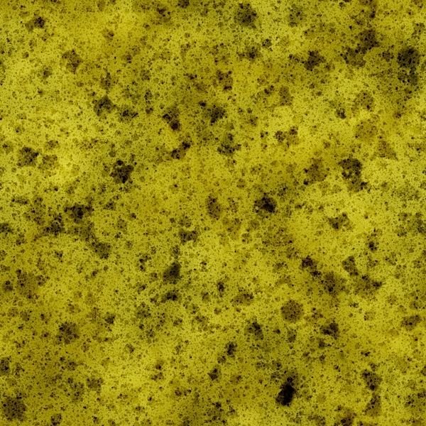 Текстура губки