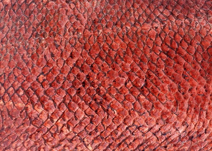 Текстура кожи