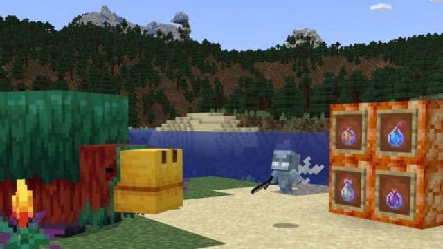 Minecraft 1 19 50 java Edition