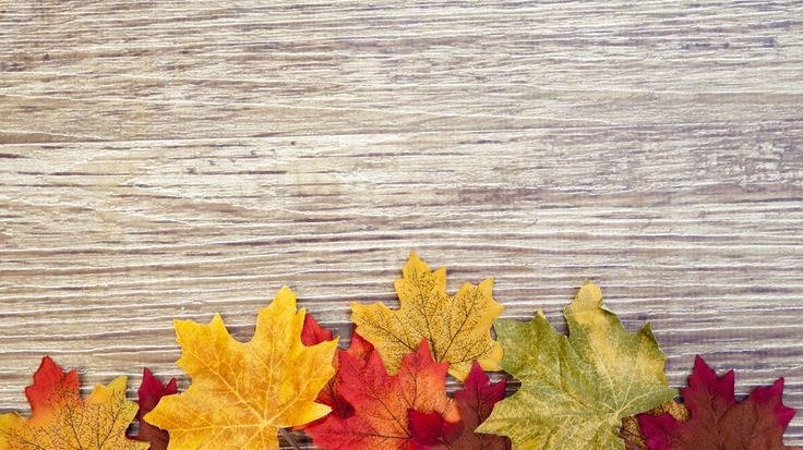 Красивый осенний фон