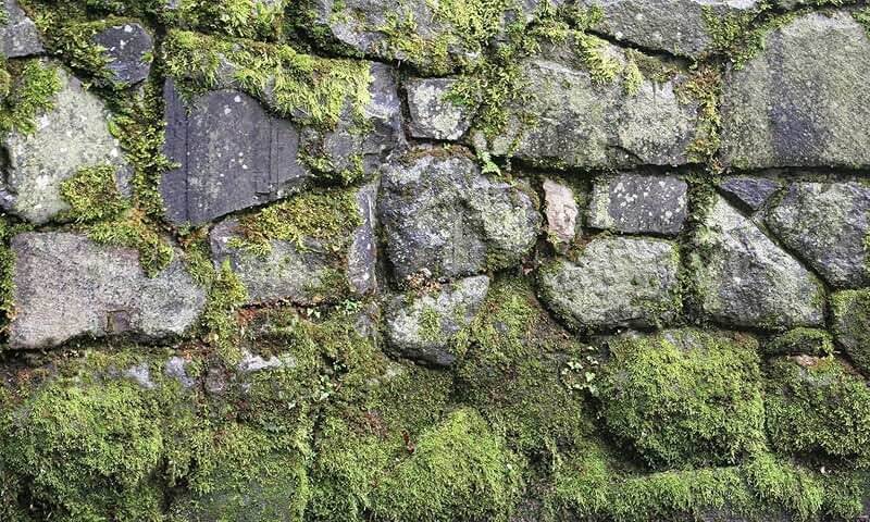 Каменная стена