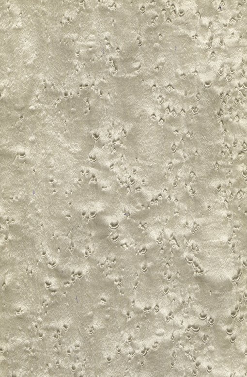 Шпон клен птичий глаз