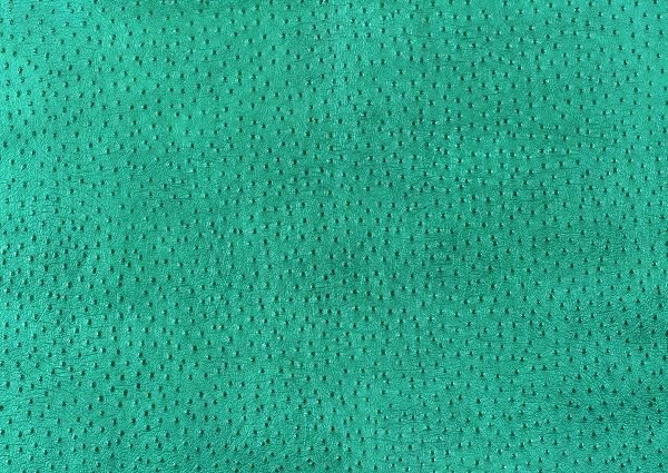 Зеленая кожа