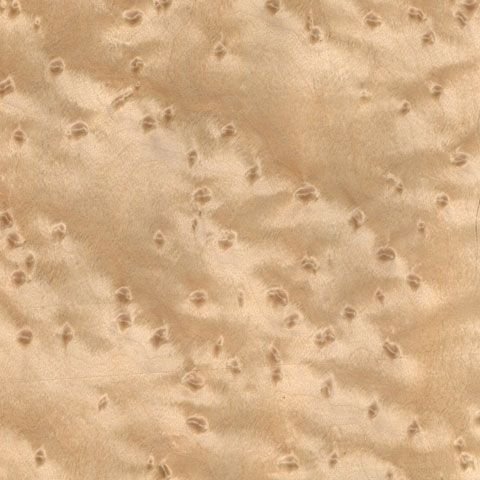 Вудсток клен птичий глаз