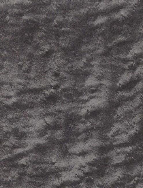 Вудсток клен птичий глаз