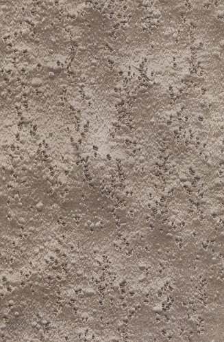 Птичий глаз клен шпон 05.088