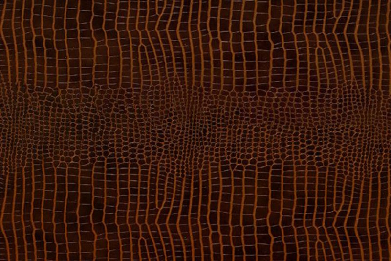 Текстура кожи