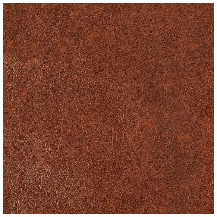 Коричневая кожа