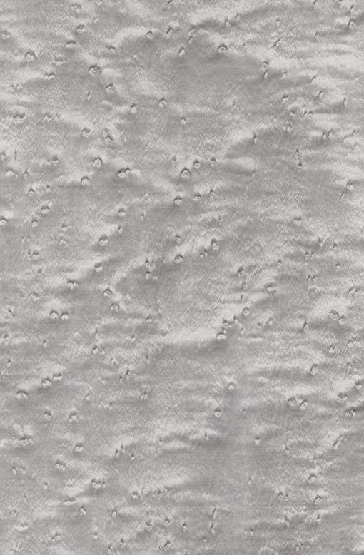 Шпон клен птичий глаз текстура