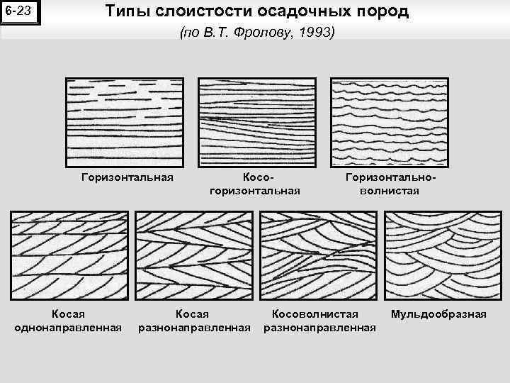 Типы слоистости осадочных пород