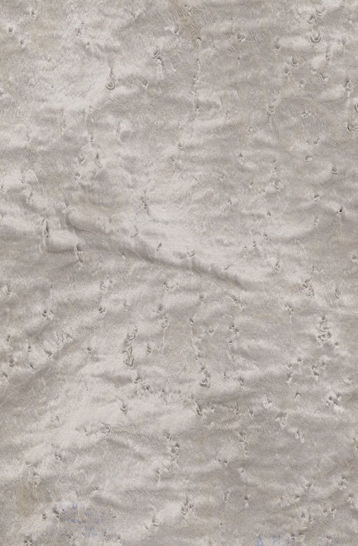 Птичий глаз клен шпон 05.088