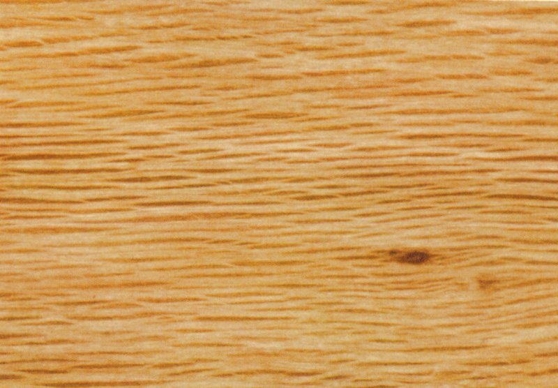 Бук текстура древесины