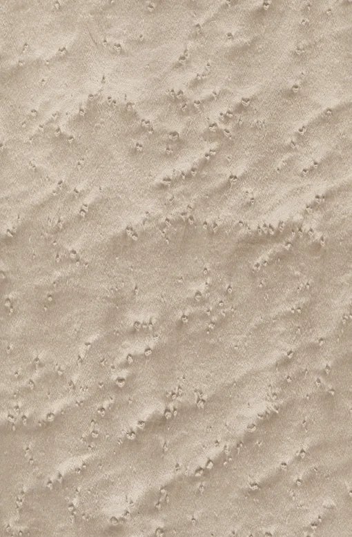 Птичий глаз клен шпон 05.088