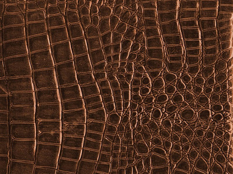 Кожа крокодила коричневая