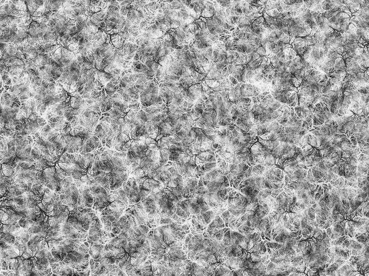 Текстура чб