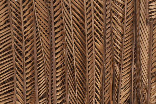 Крыша из пальмовых веток