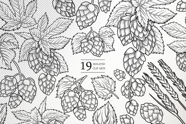 Хмель паттерн