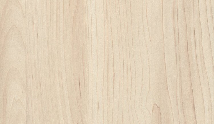 H3860 st9 клен сахарный шампань