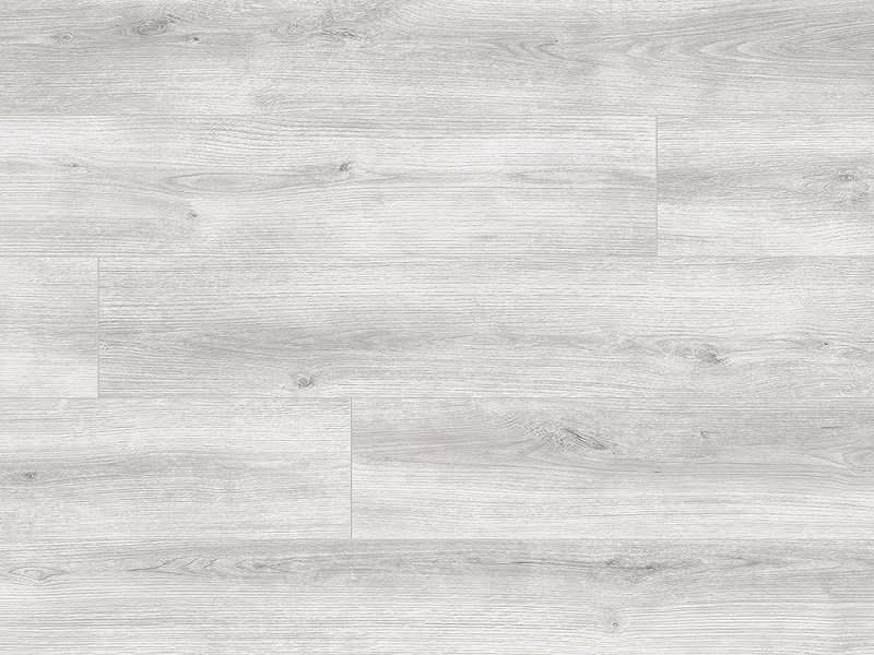 Перго дуб Монза