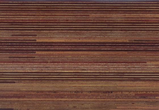 Меранти древесина