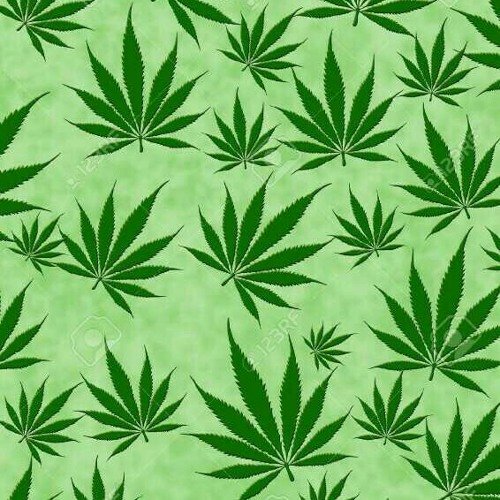 Картинки конопли