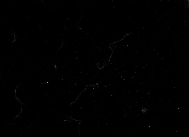 Текстура пленки