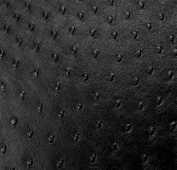 Кожа страуса текстура