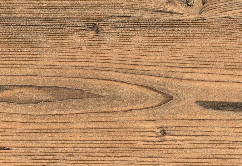 Текстура дерева