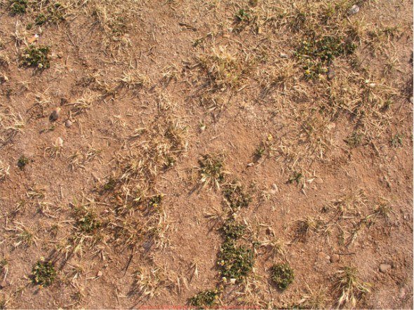 Грунт текстура