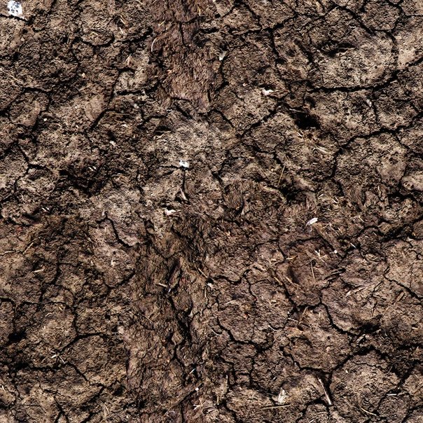 Текстуры земли для 3ds Max