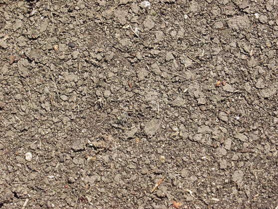 Текстура земли чернозем