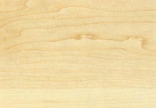 Столешница клен Ванкувер