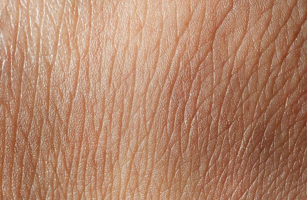 Фактура человеческой кожи