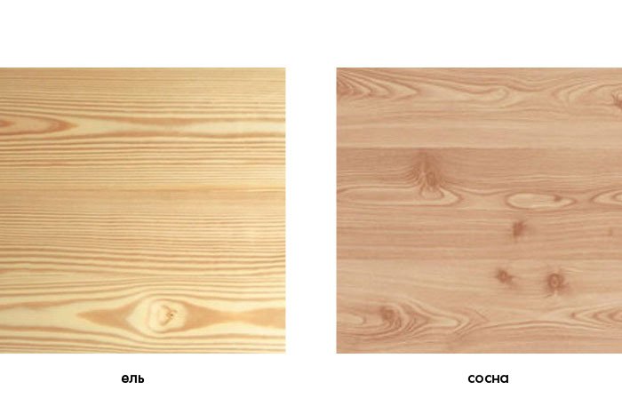 Разница древесины лиственница сосна кедр ель