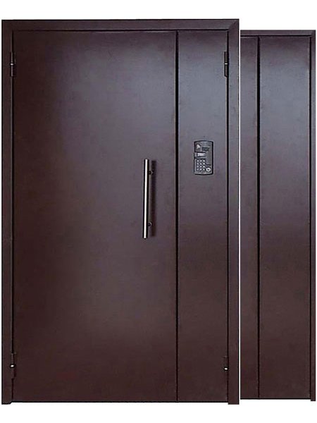 Двери домофонные подъездные Бином