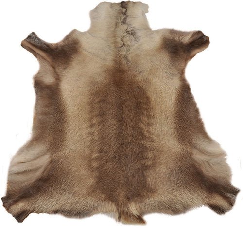 Шкура оленя