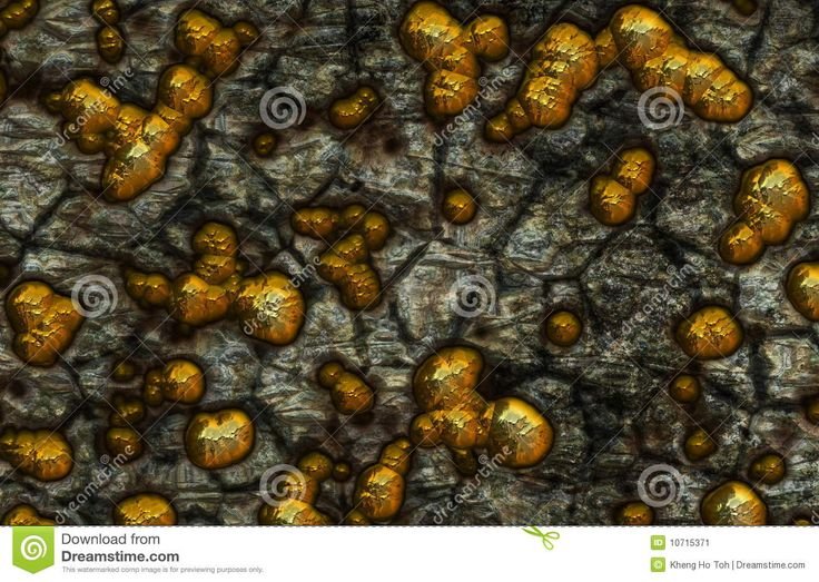 Незерская Золотая руда