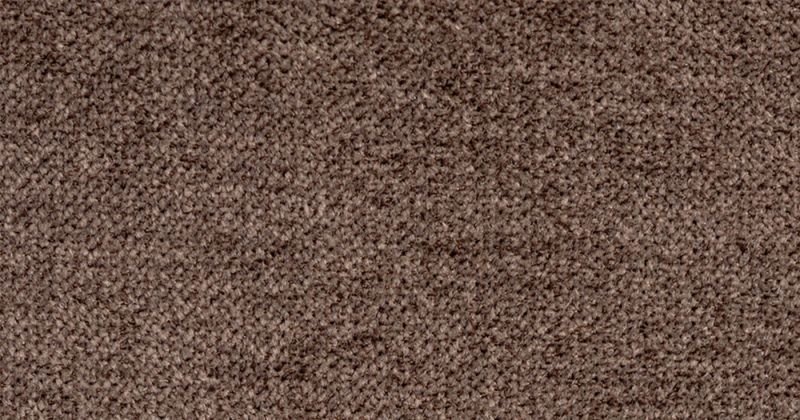 Tarkett ковролин драгон 10431