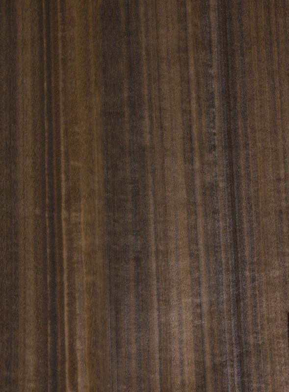 Эвкалипт мореный Вудсток