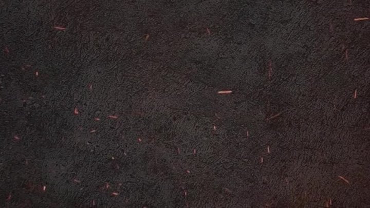 Дымовский гранит текстура