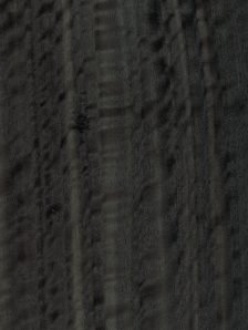 Вудсток эвкалипт шпон