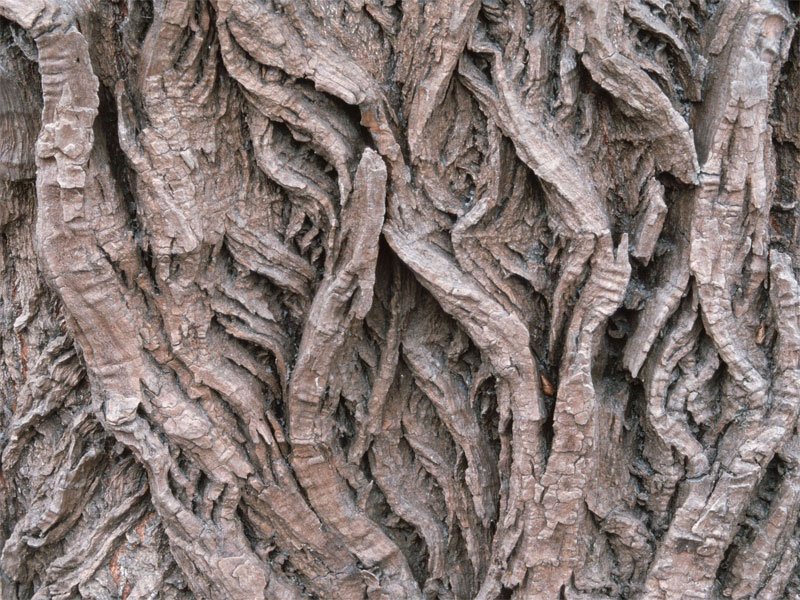 Древесная фактура