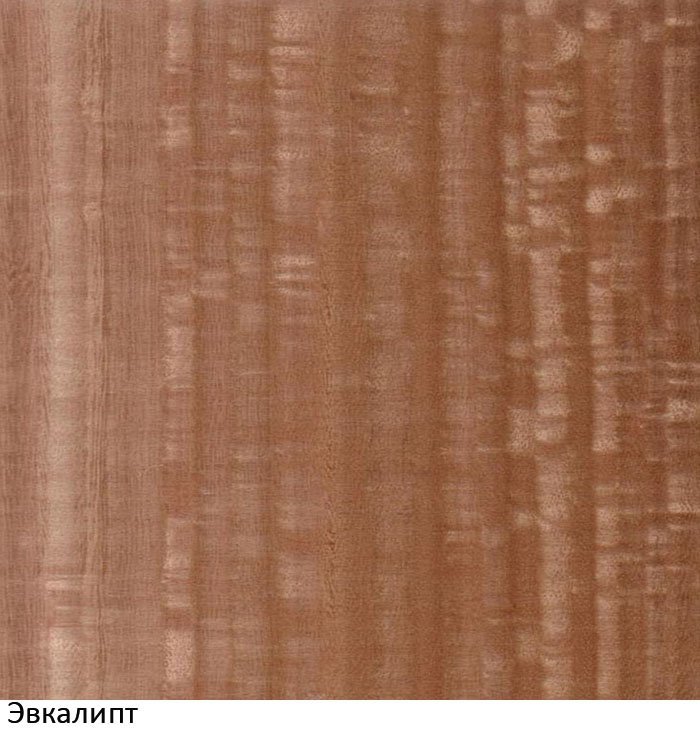 Эвкалипт мореный Вудсток шпон