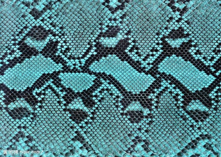 Принт кожа змеи
