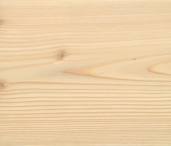 Лиственница фактура