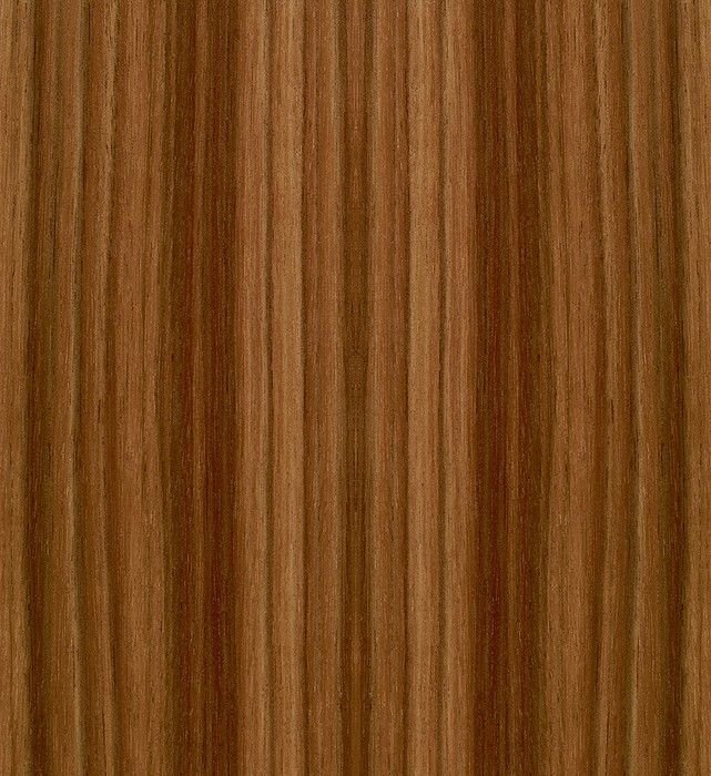 Эвкалипт мореный Вудсток