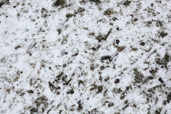 Снег фактура