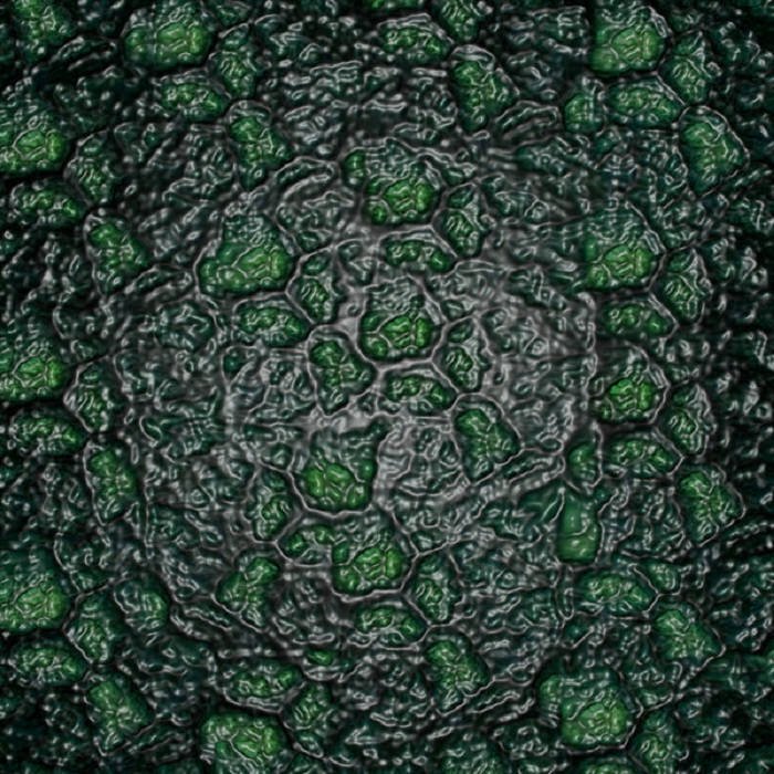 Текстура кожи